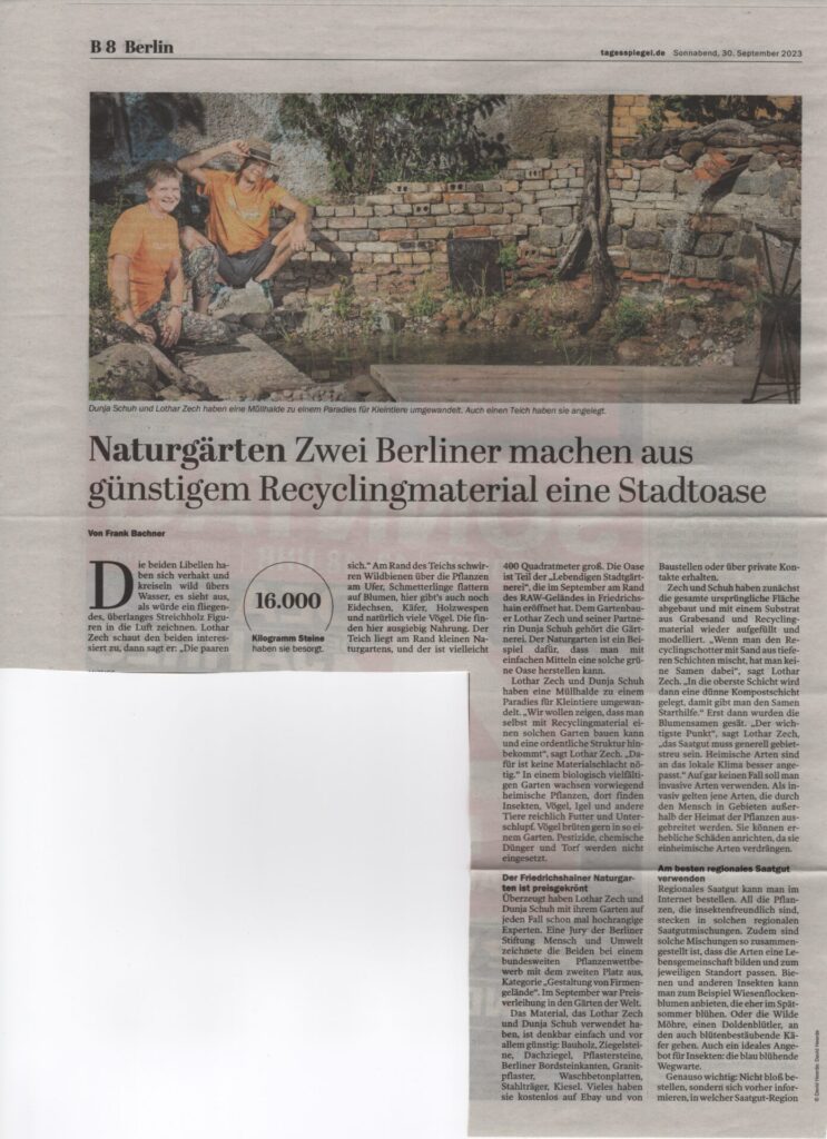 Artikel Tagesspiegel Lebendige Stadtgärtnerei