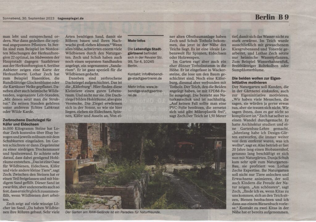 Artikel Tagesspiegel Lebendige Stadtgärtnerei